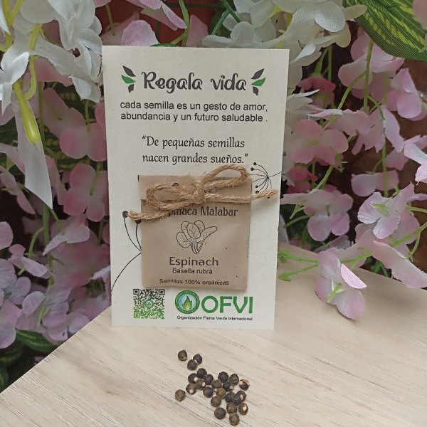 Semillas Orgánicas de Espinaca Malabar